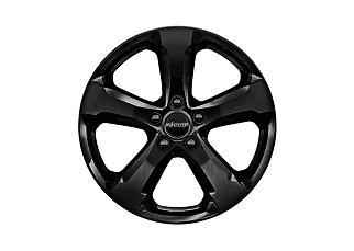 20-Inch High-Gloss Black