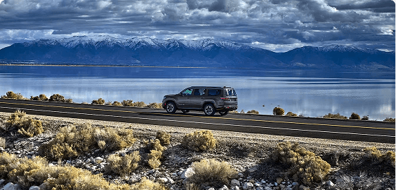 Adaptive Cruise Control with Stop and Go*