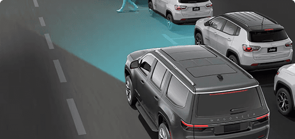 Pedestrian and Cyclist Emergency Braking*
