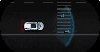PEDESTRIAN AUTOMATIC EMERGENCY BRAKING SYSTEM*