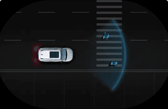 PEDESTRIAN AUTOMATIC EMERGENCY BRAKING SYSTEM*