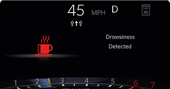 Drowsy Driver Detection