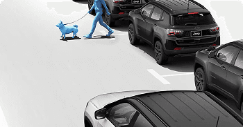 Pedestrian and Cyclist Detection with Automatic Braking