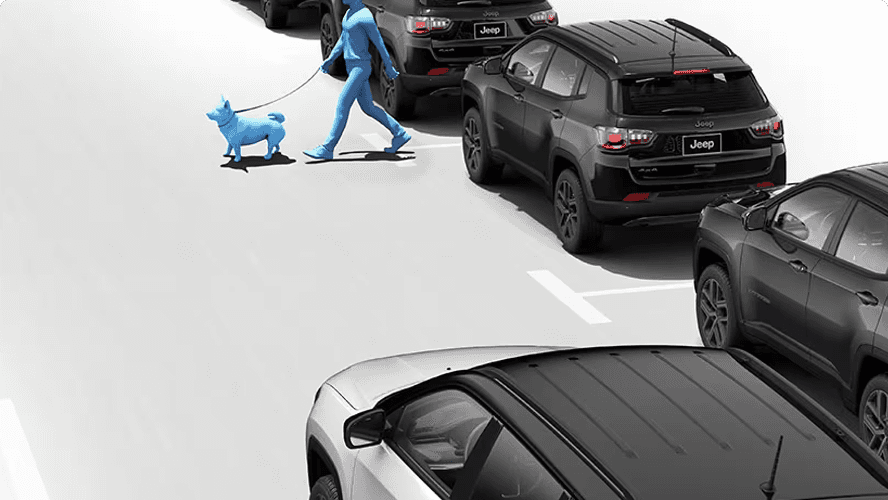 Pedestrian and Cyclist Detection with Automatic Braking