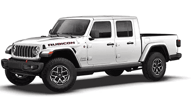 RUBICON X
