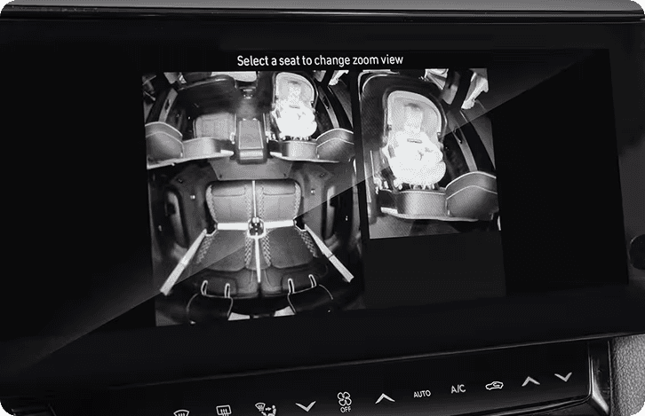 Interior FamCAM display
