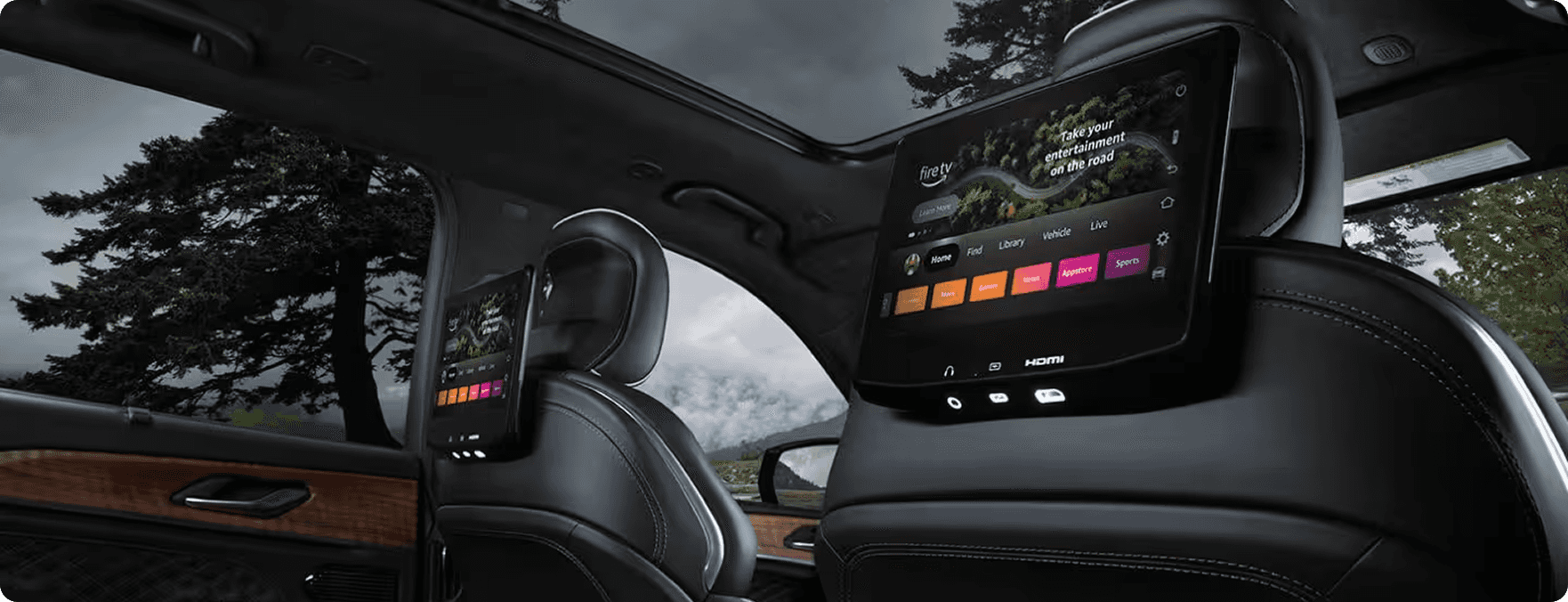 Rear seat entertainment screens