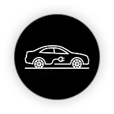 RAM hybrids icon