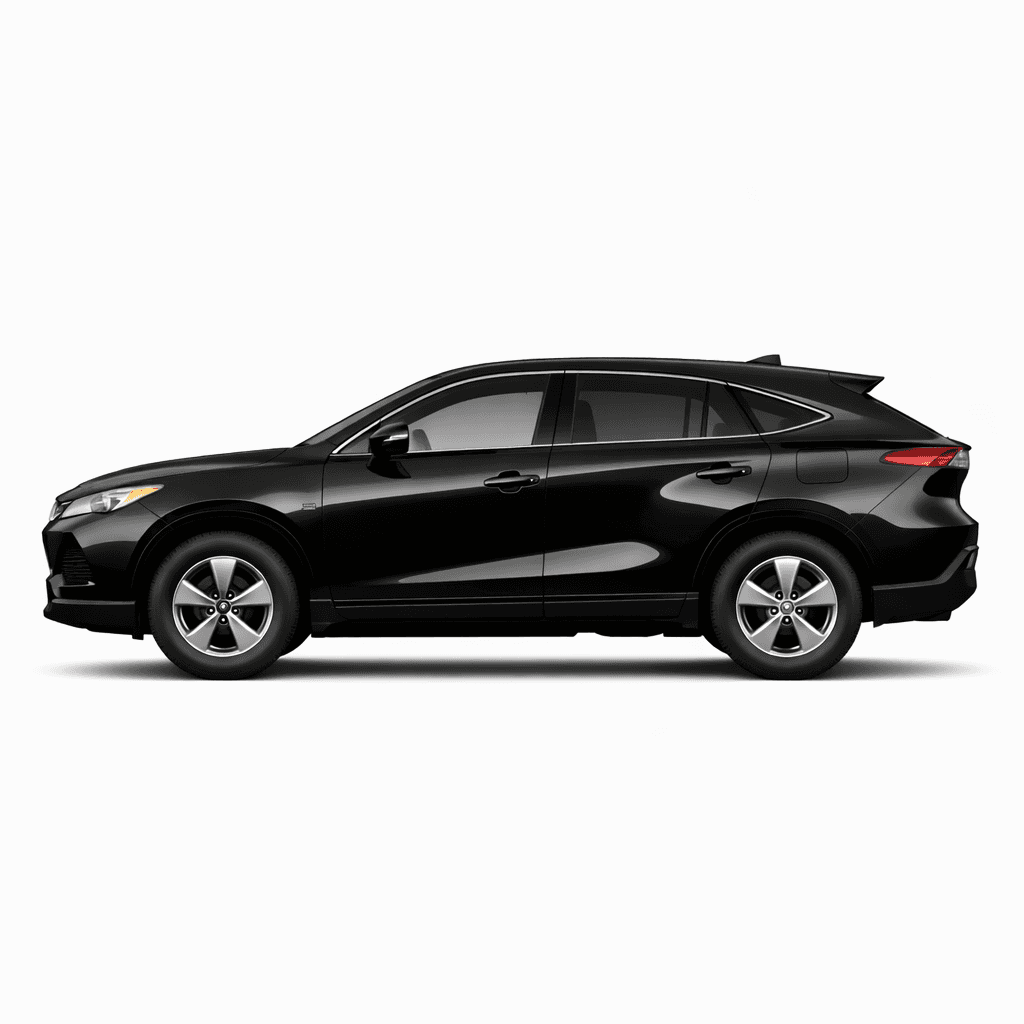 Venza