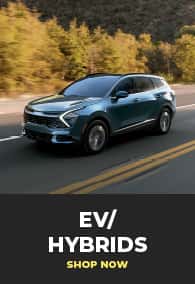 EV/Hybrid