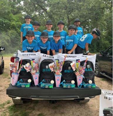 Baseball Sponsorship