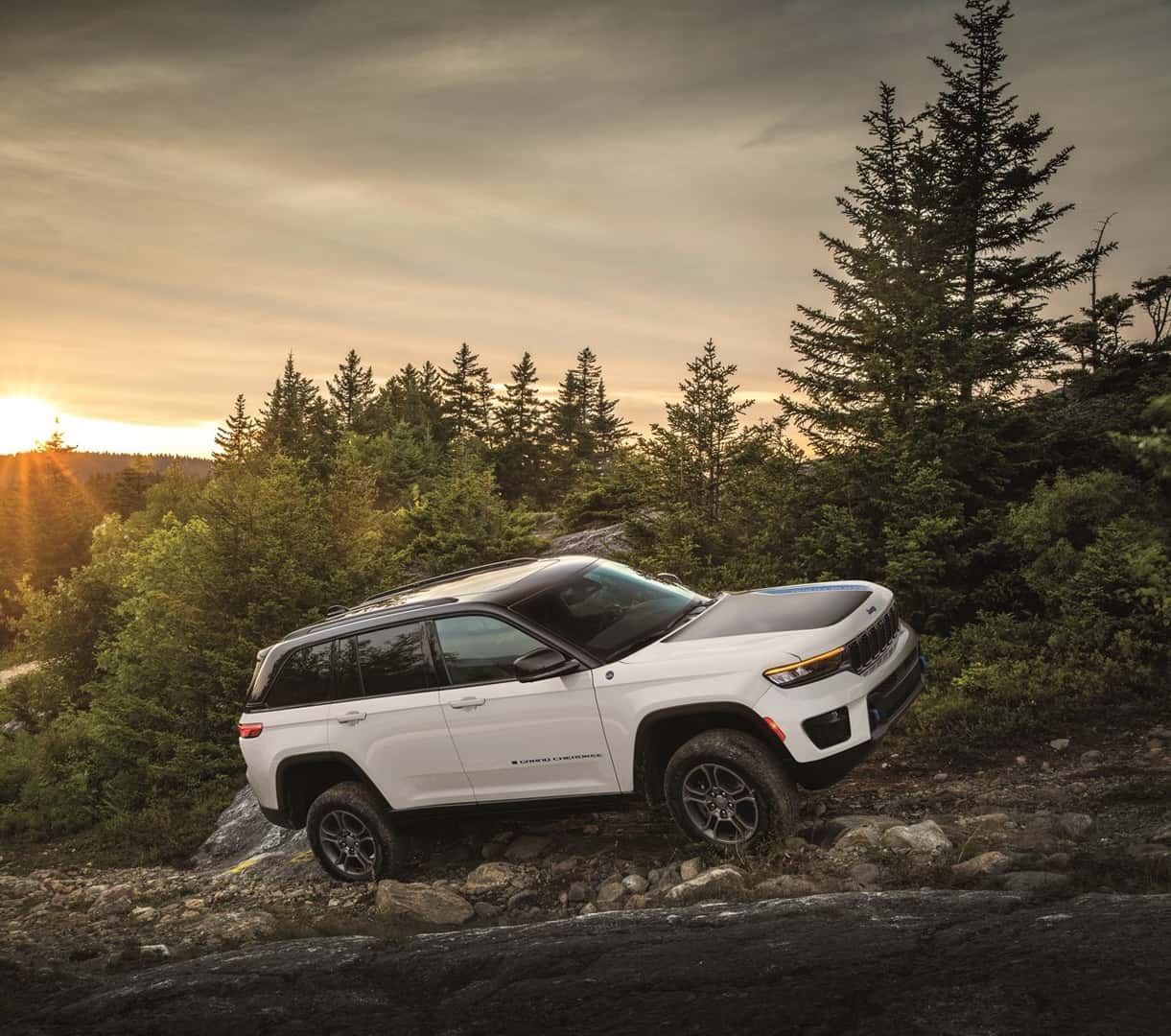Used Car Dealer near Ithaca NY