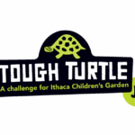 Tough Turtle Jr.