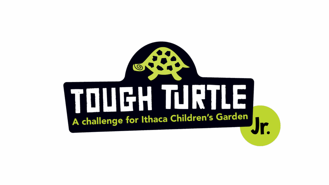 Tough Turtle Jr.