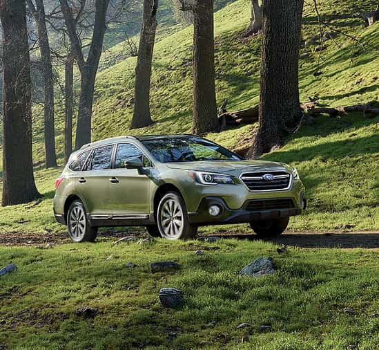 Search for a Subaru