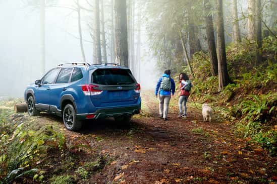 Subaru Forester Lease Ithaca NY