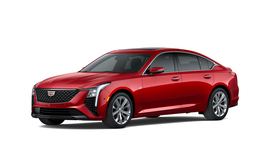 Cadillac CT5 jellybean image