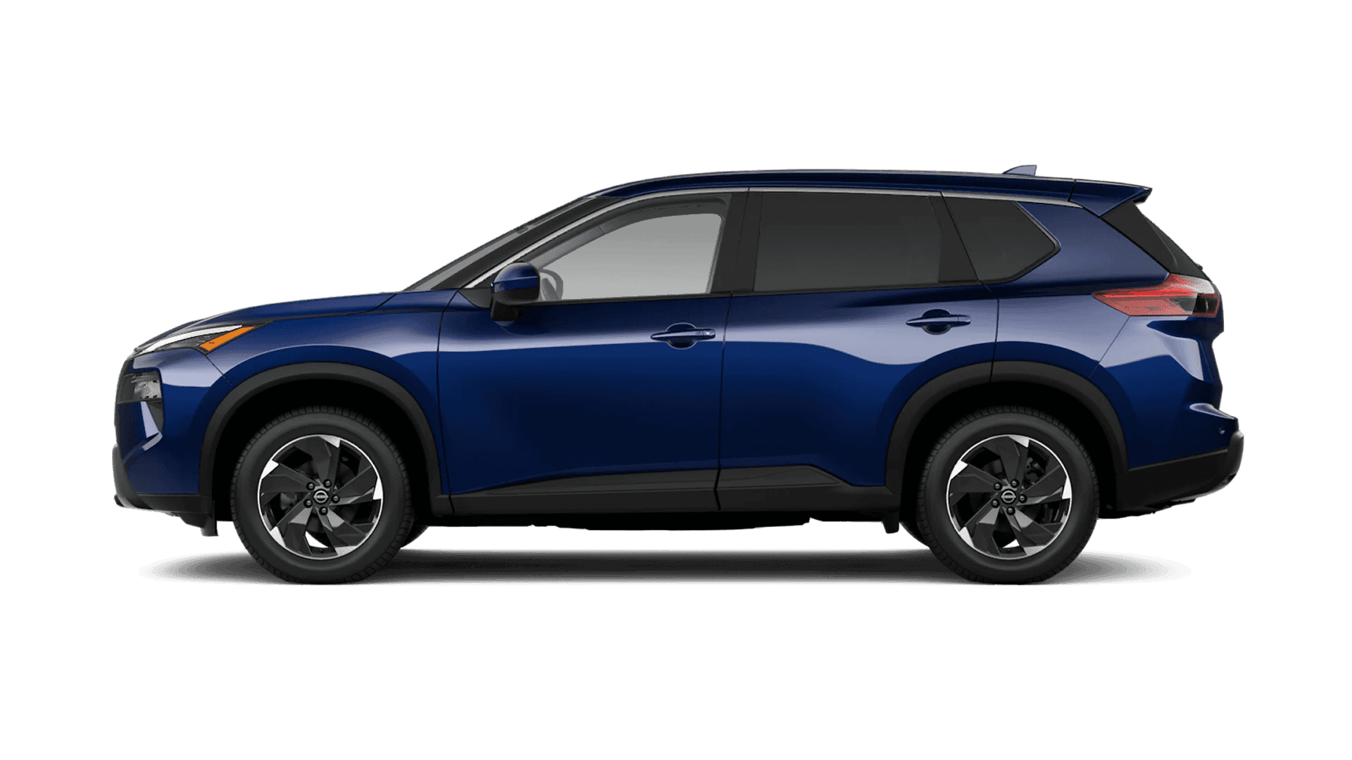 Rogue SV
