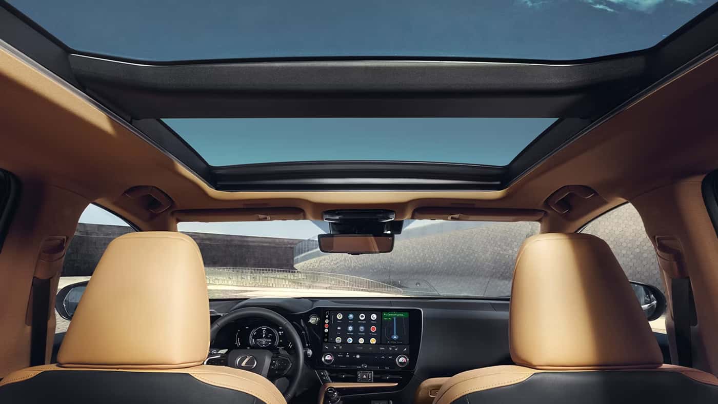 2026 Lexus NX Palomino Leather
