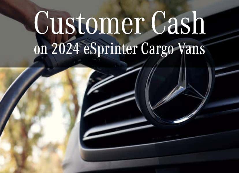 <Strong>eSprinter Van Customer Cash</strong>