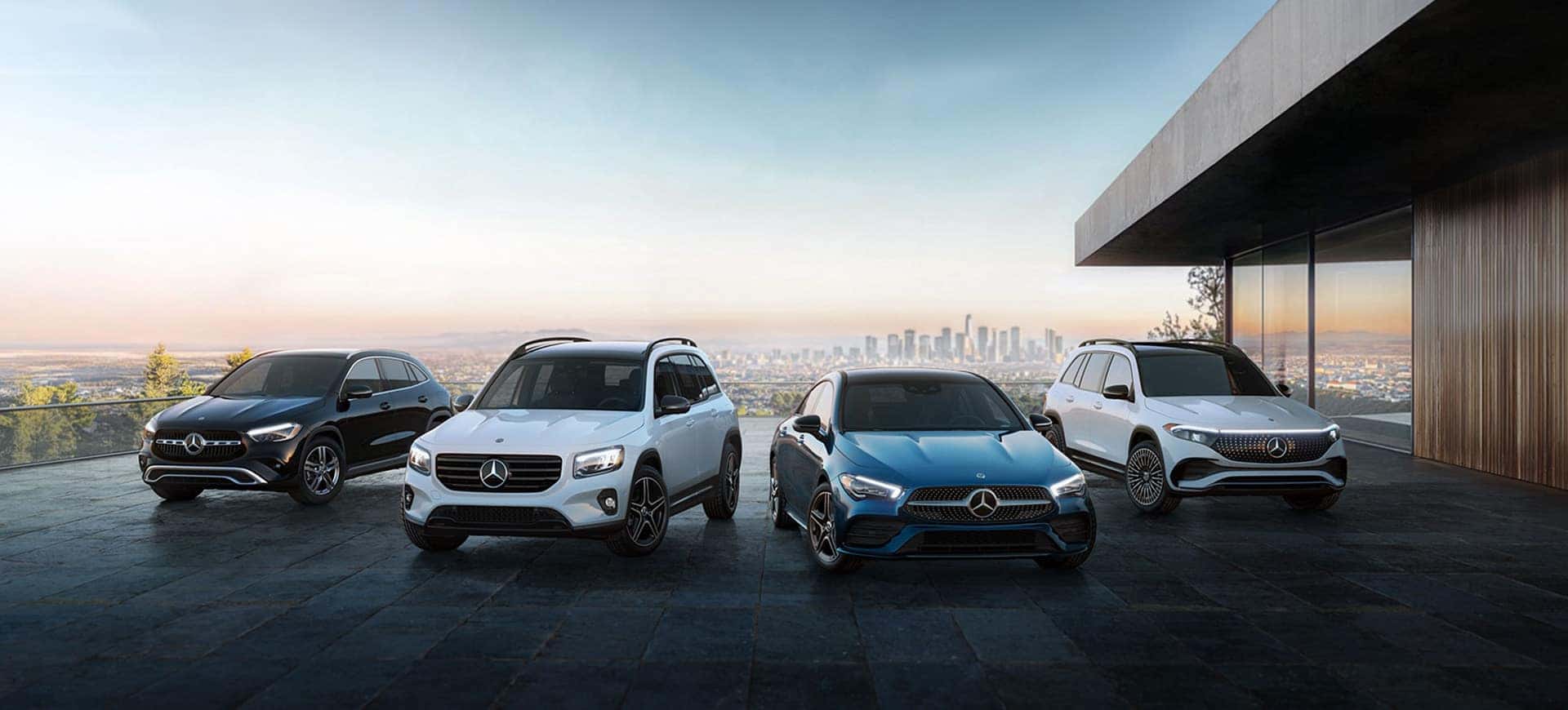 Mercedes-Benz Affinity Fleet Program