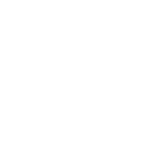 Long-Term Loans