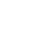 Unpredictable Depreciation