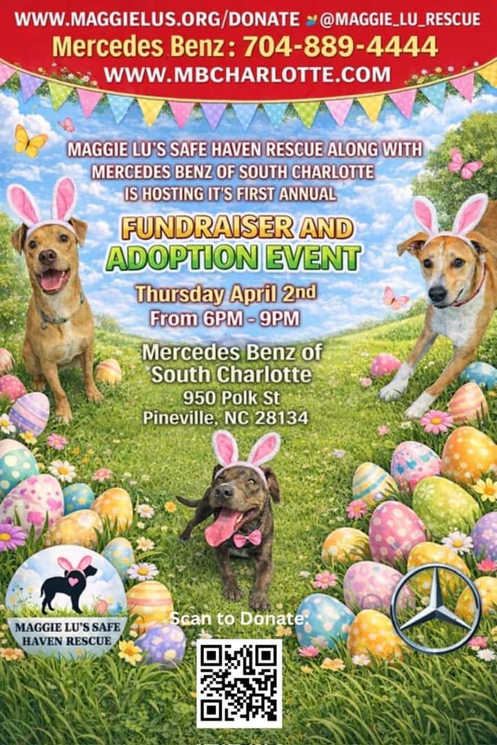 Adoption Poster
