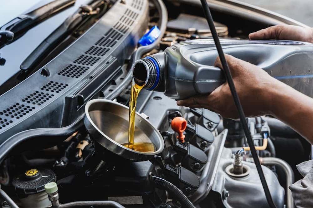 Honda Oil Change