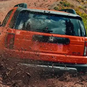 2026 Honda Passport Rear View
