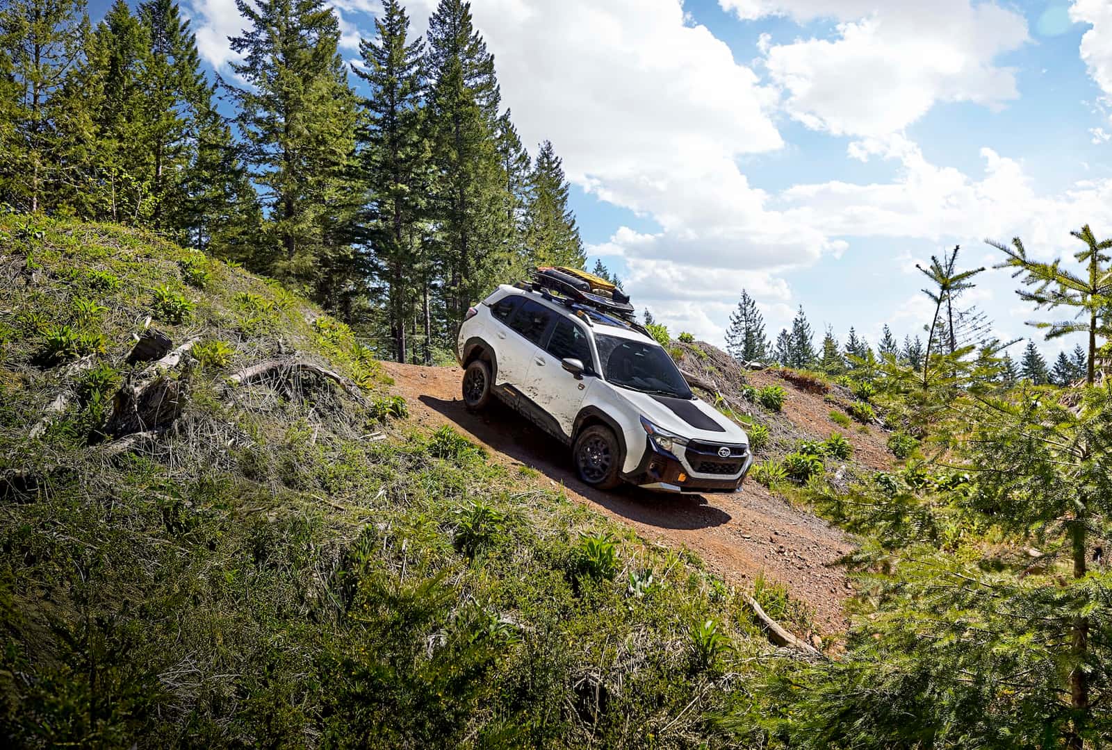 2026 Subaru Forester Wilderness Passenger Side Off Road