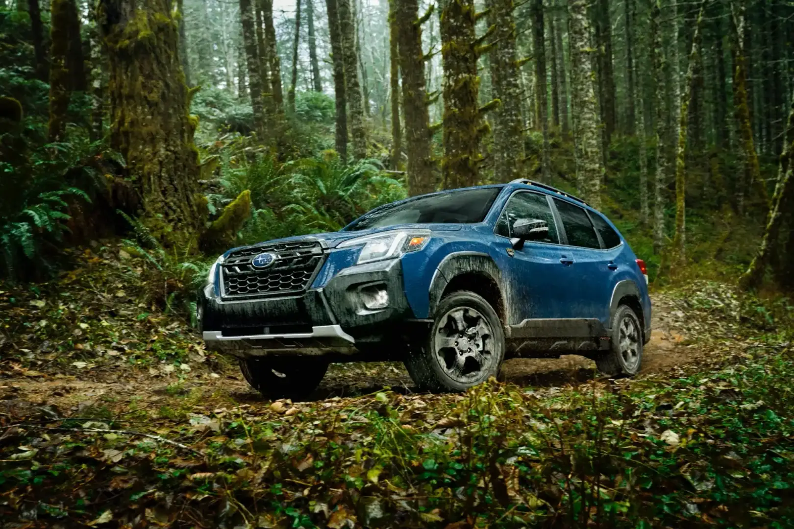 Blue Subaru Forester Wilderness parked off road in the woods