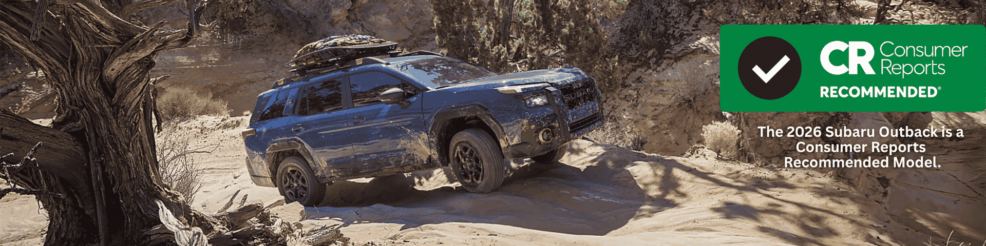 Consumer Reports Recommended Vehicle Outback!