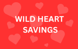 Wild Card Savings