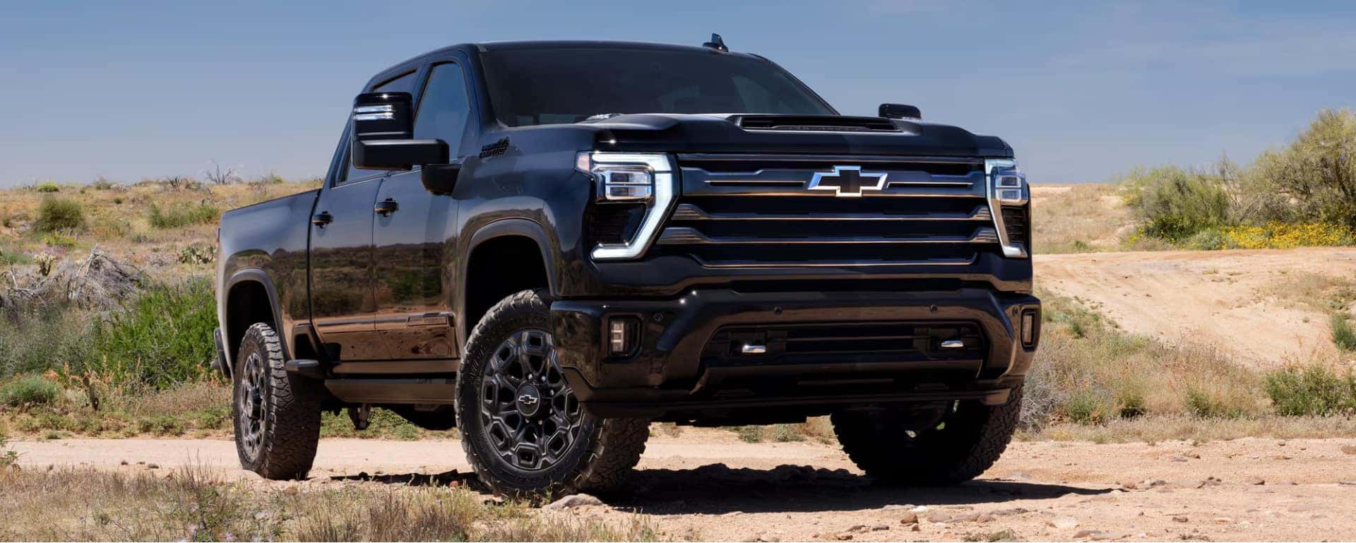 Black Chevrolet Truck