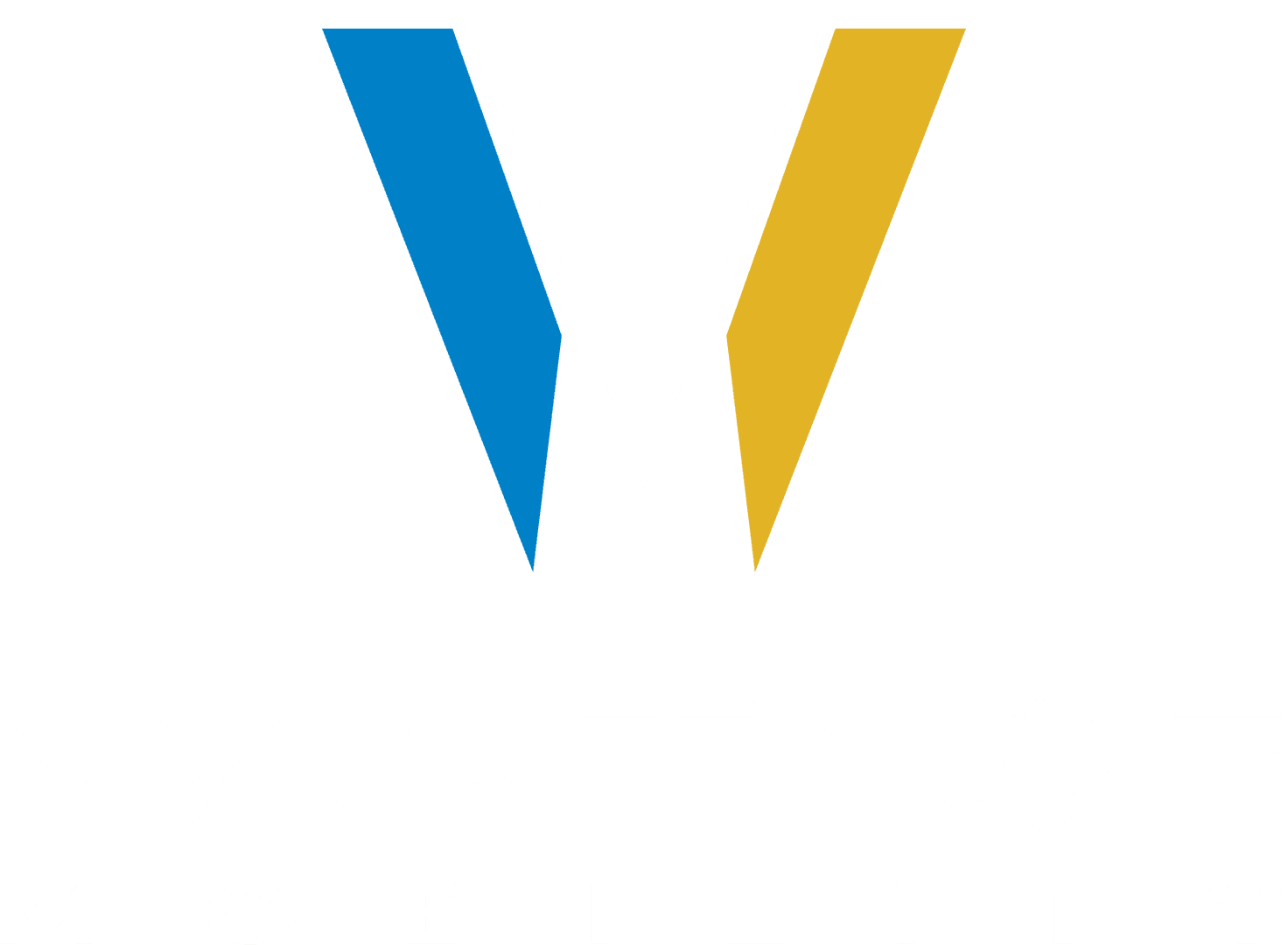 VM Logo light