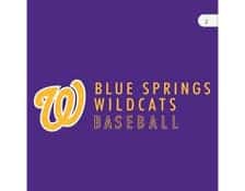 Blue Springs Wildcats Baseball