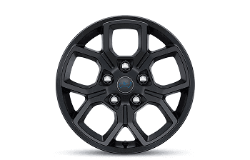 17-Inch Painted Black Wheels