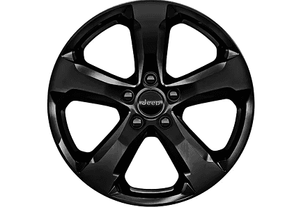 20-Inch High-Gloss Black