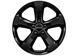 20-Inch High-Gloss Black