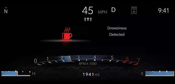 DROWSY DRIVER DETECTION