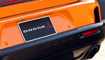 DUAL EXHAUST TIPS