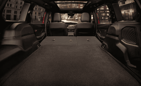 Dedicated Cargo Versatility 1