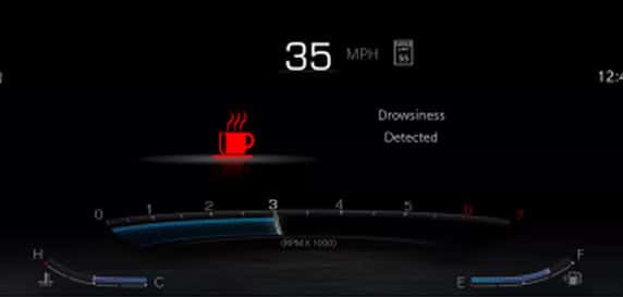 Drowsy Driver Detection