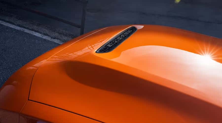 PERFORMANCE HOOD