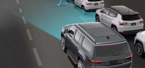 Pedestrian and Cyclist Emergency Braking