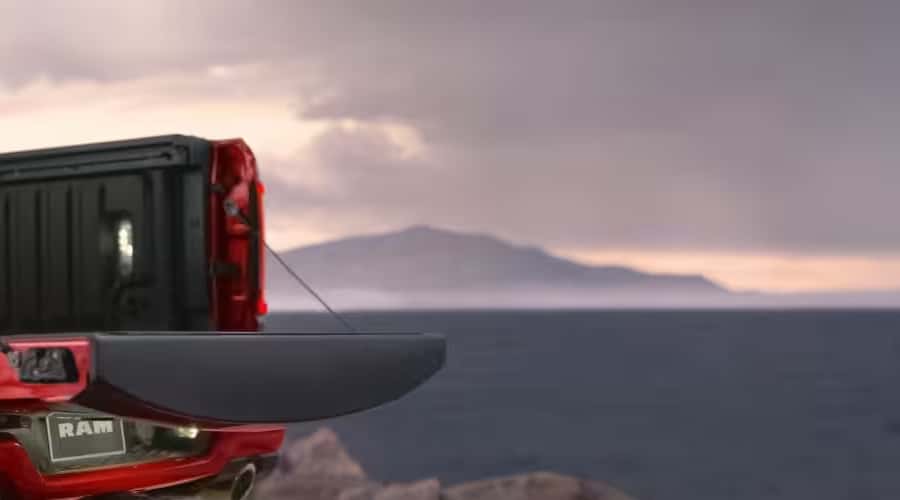 REMOTE TAILGATE CONTROL
