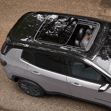 Dual-pane sunroof