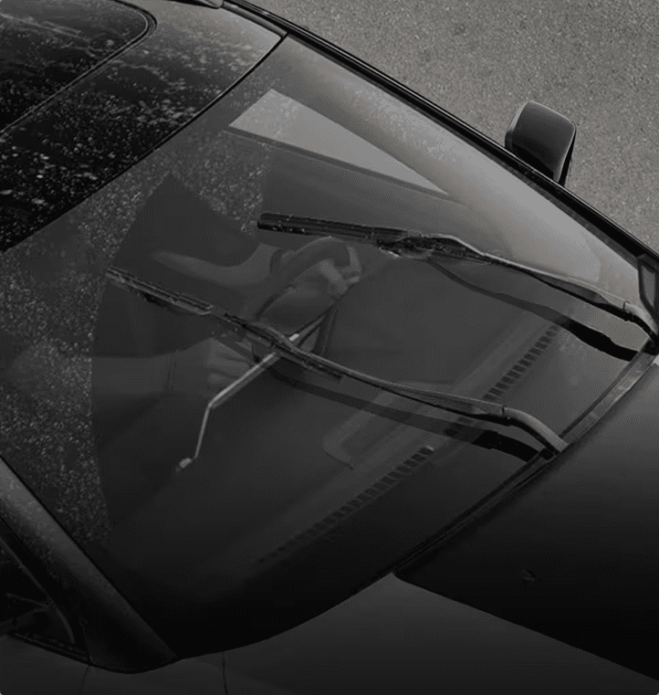 Rain-sensing windshield wipers