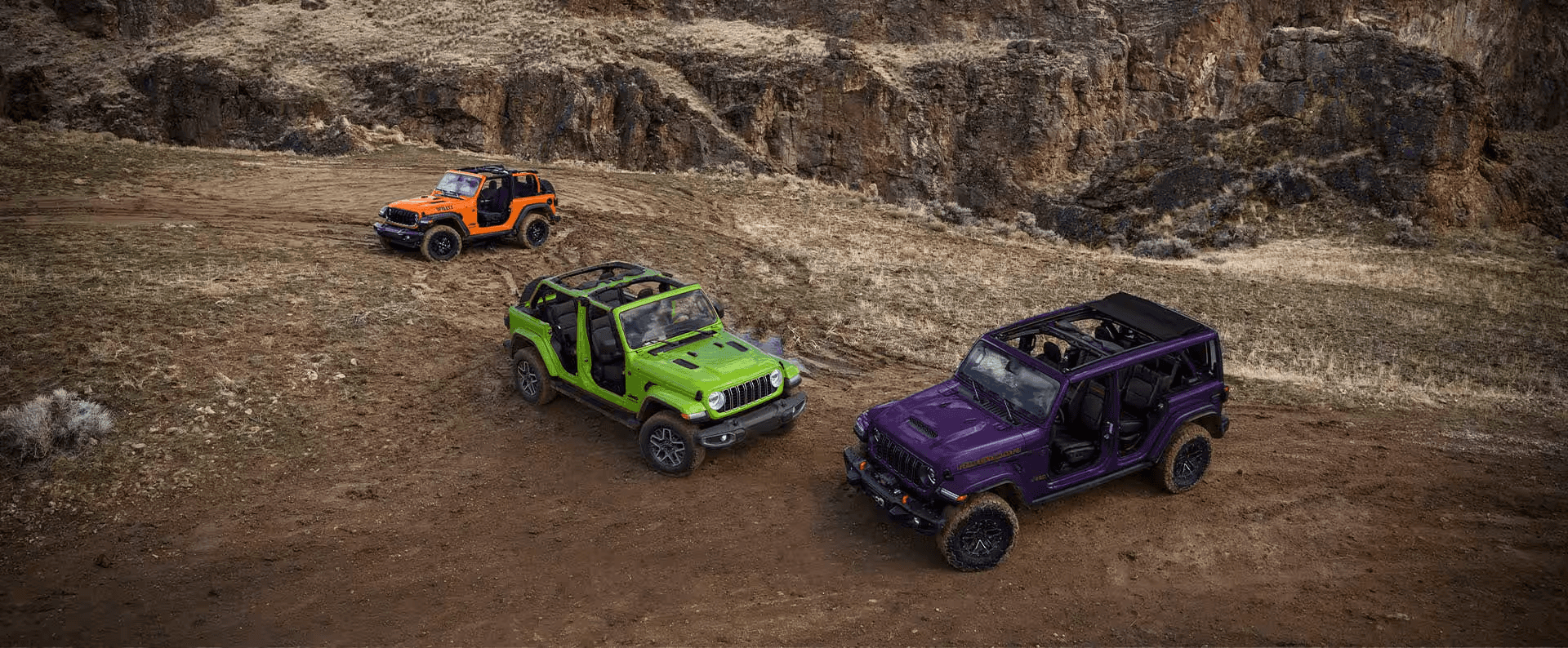 Wrangler Design